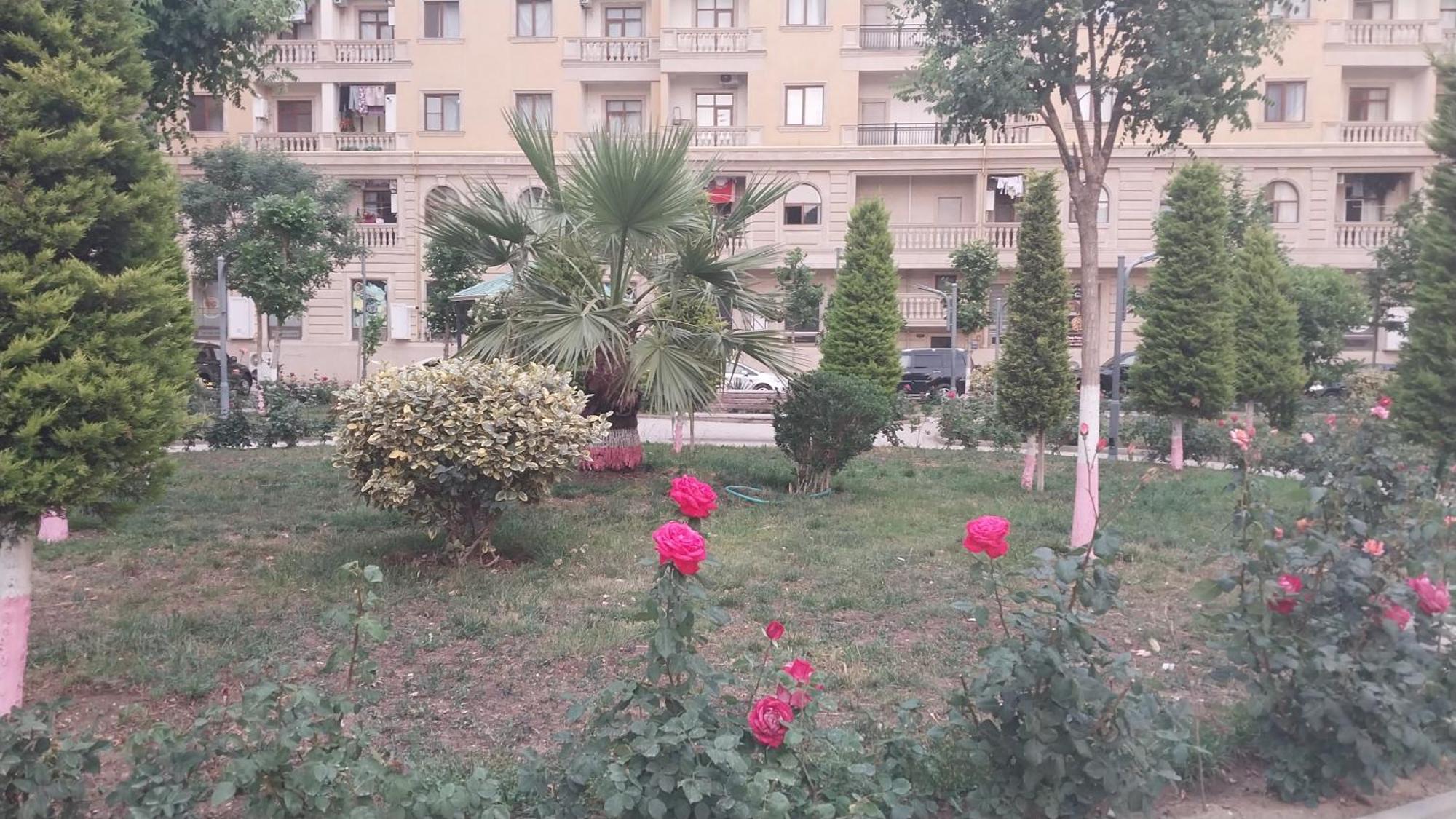 Banu House Apartment Sumqayyt Ngoại thất bức ảnh